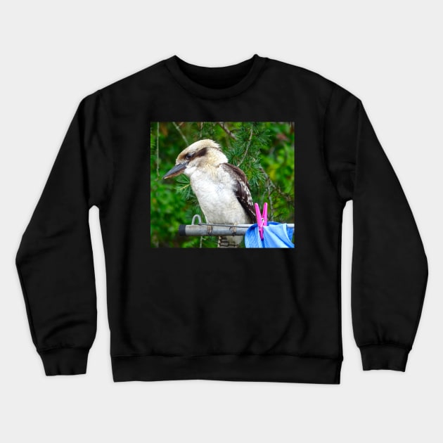 Kookaburra on the Clothesline! Crewneck Sweatshirt by Mickangelhere1